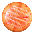 DIscraft ESP Swirl Ricky Wysocki Prototype putt & approach disc, Ricky Wysocki Proto Bar Stamp stamp, orange and light orange disc