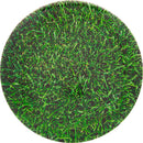 Dynamic Discs Fuzion EMAC Judge putt & approach disc, Dye-abolical DyeMax Green Grass stamp, white disc