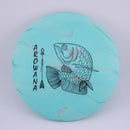 Elevation glO-G Arowana