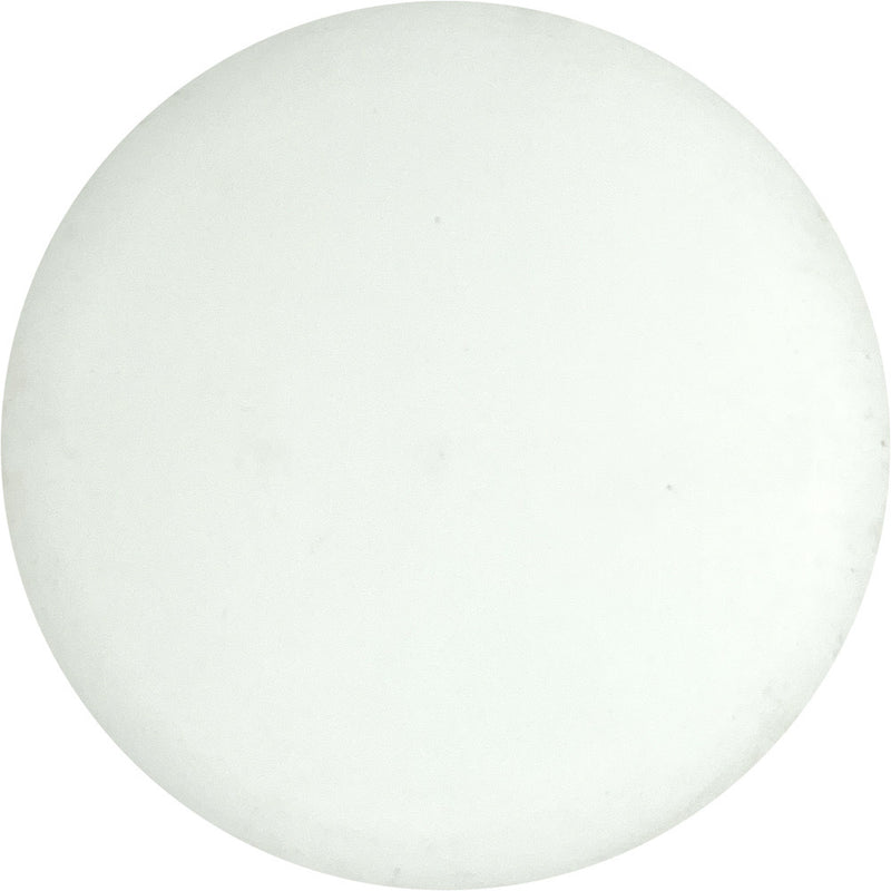 Gateway Special Blend Wizard putt & approach disc, Blank (no top stamp) stamp, white disc