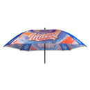 Innova Square Disc Golf Umbrella - Cosmic Flow